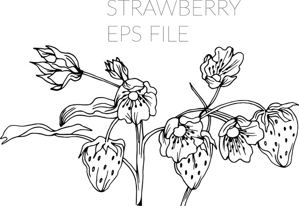 草莓手绘水果涂鸦风格图片下载