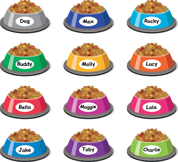摆放五颜六色的塑料狗碗图片下载