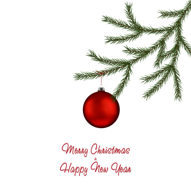 圣诞冷杉树枝和红色的小装饰品图片下载
