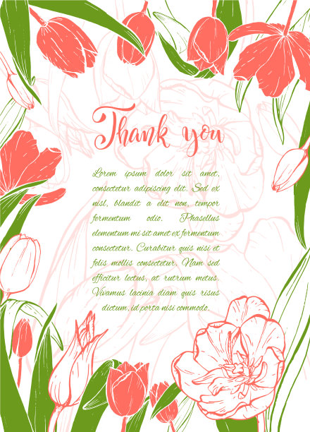 素描线性郁金香花图片下载