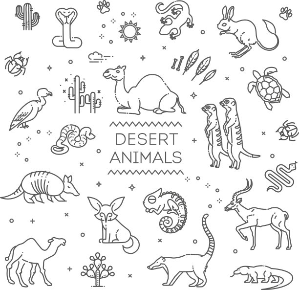 用不同的沙漠勾勒野生动物的概念图片下载