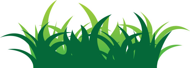 草模板图片下载