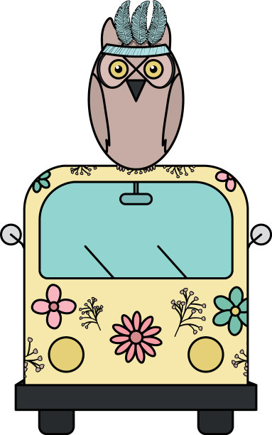 猫头鹰的羽毛帽子和范·波西米亚风格图片下载