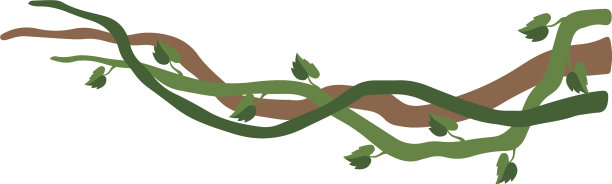 藤本植物，枝叶茂盛的丛林植物图片下载