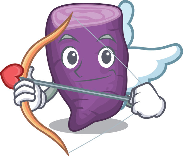 丘比特紫薯与性格隔离图片下载