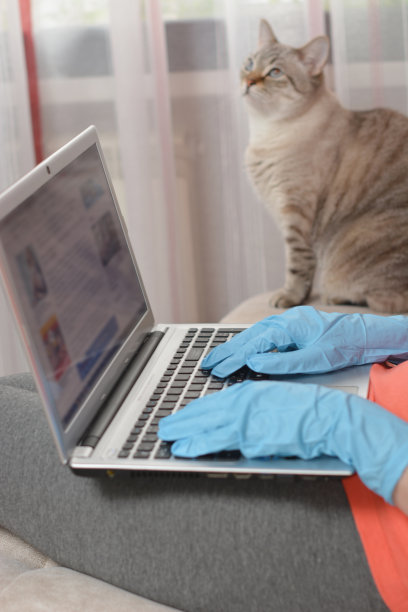 女人在蓝色橡胶手套工作笔记本和猫散焦背景图片下载