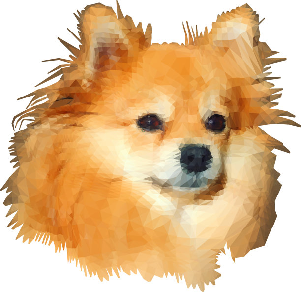 低多边形建模博美犬图片下载