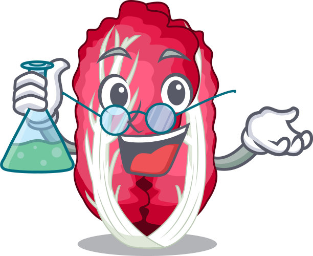 漫画蔬菜篮里的菊苣教授图片下载