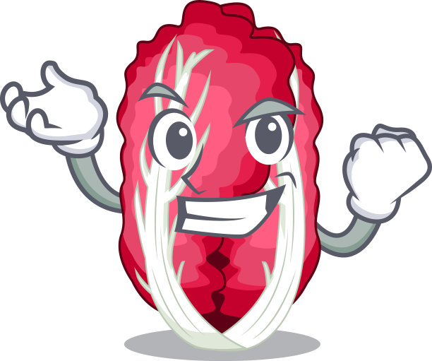 成功地把菊苣放在卡通蔬菜篮子里图片下载