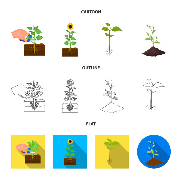 孤立的对象植物和豆的标志收集图片下载
