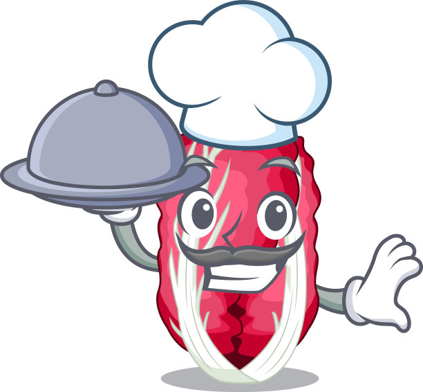 厨师以菜为主，以菊苣为主图片下载