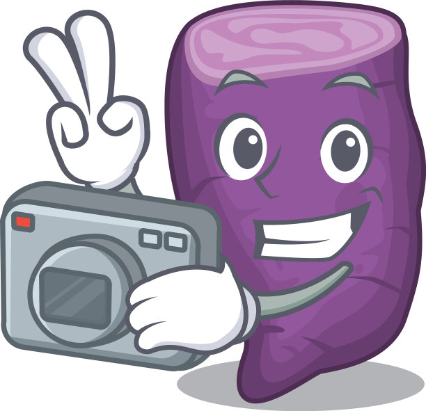 摄影师在吉祥物篮子里的紫红薯图片下载