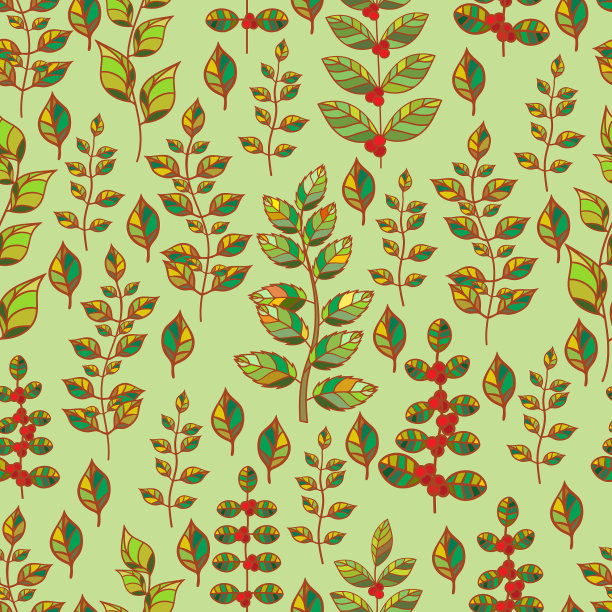 各种各样的夏花图片下载