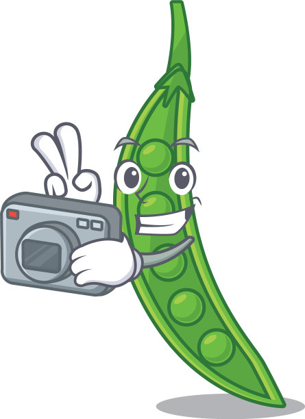 摄影师把豌豆放在卡通篮子里图片下载