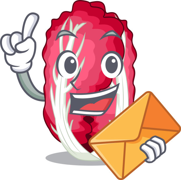 用卡通蔬菜包起来的菊苣图片下载