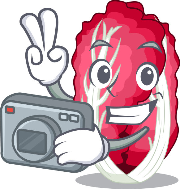 摄影师在一个人物蔬菜菊苣图片下载