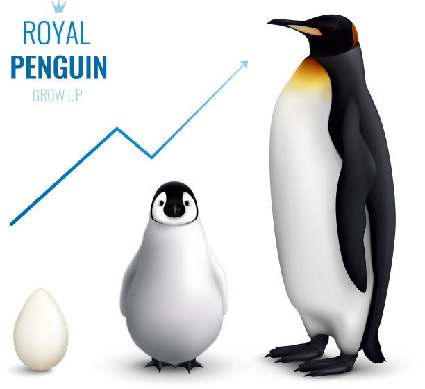 企鹅长大得很现实图片下载