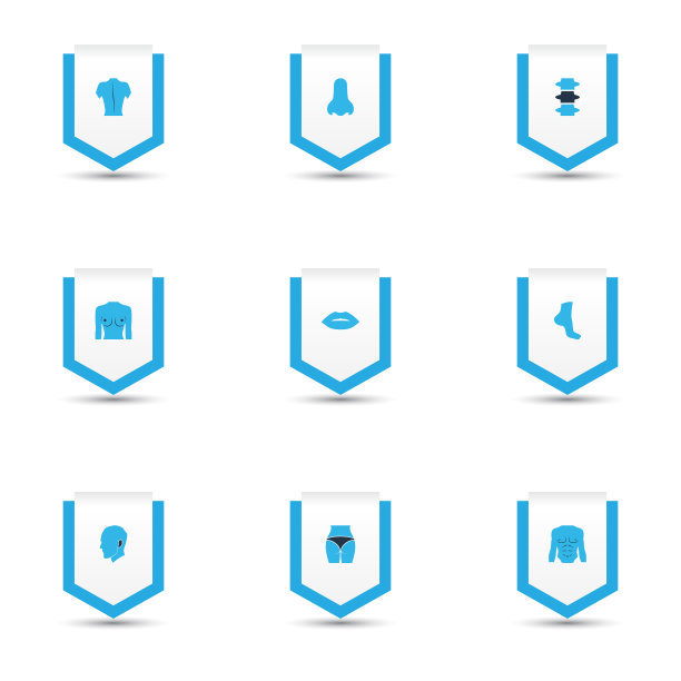 体格图标彩色设置与鼻子乳房图片下载