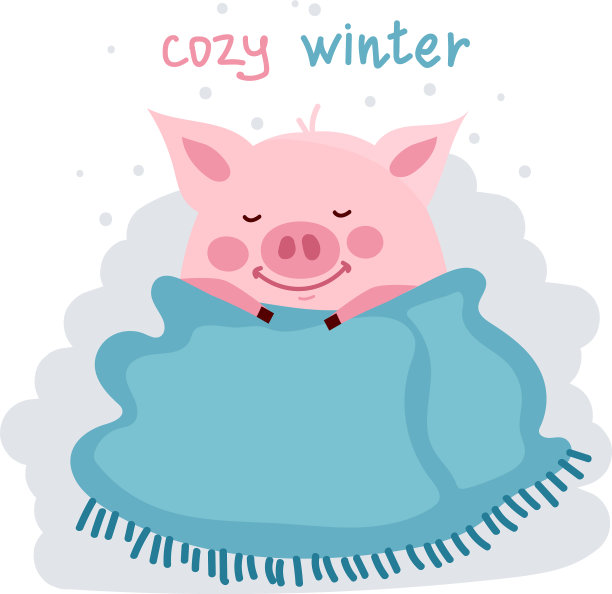 可爱的卡通猪被毯子盖上隔离图片下载