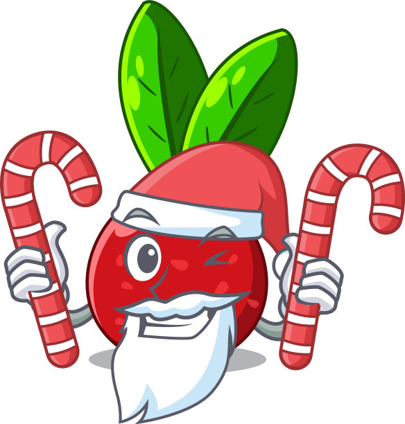 圣诞老人用糖果水果扬梅孤立图片下载