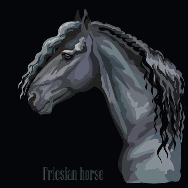 丰富多彩的马portrait-5图片下载