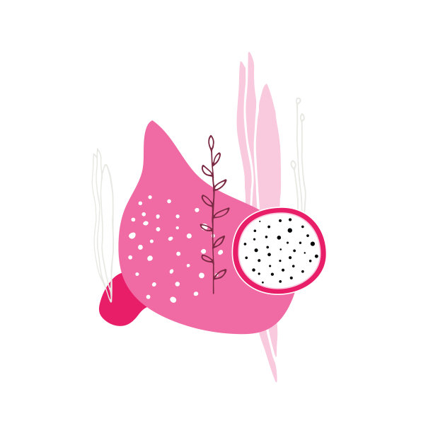 火龙果火龙果切片植物花图片下载