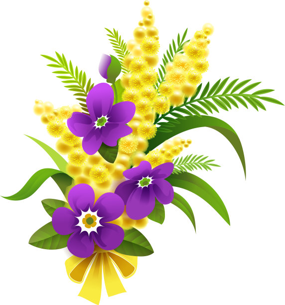 3月8日，黄色的含羞草和紫罗兰花束图片下载