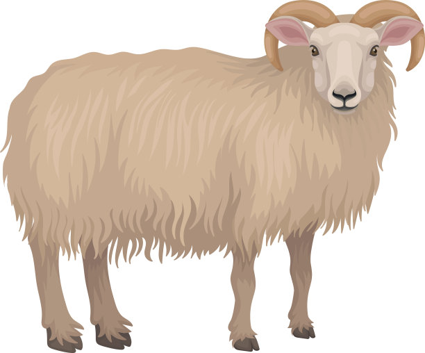 多塞特公羊的详细平面图标图片下载
