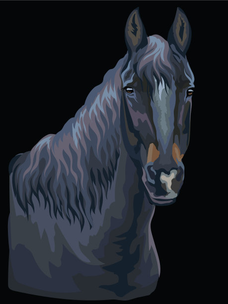 丰富多彩的马portrait-9图片下载