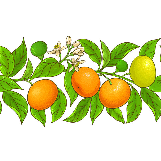 白底普通话图案图片下载