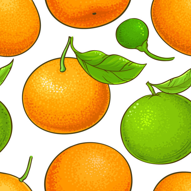 白底橘子图案图片下载