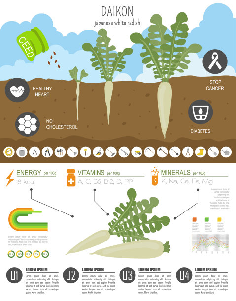 大圆有益特色图形模板图片下载