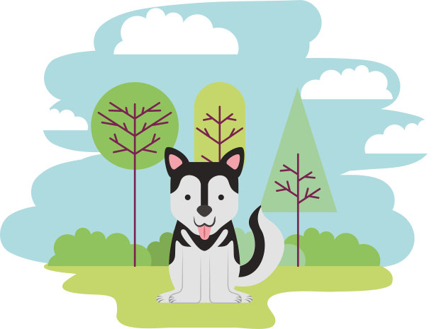 可爱的狗坐在公园里图片下载