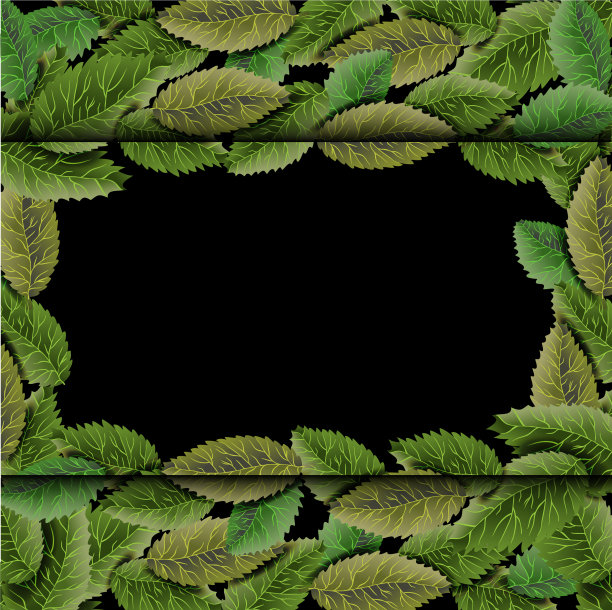 方形框架长满了绿色的树枝图片下载