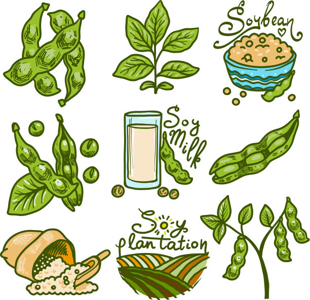 大豆图标集手绘风格图片下载