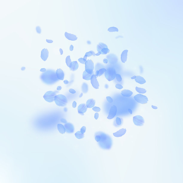 深蓝色的花瓣飘落，令人心旷神怡图片下载