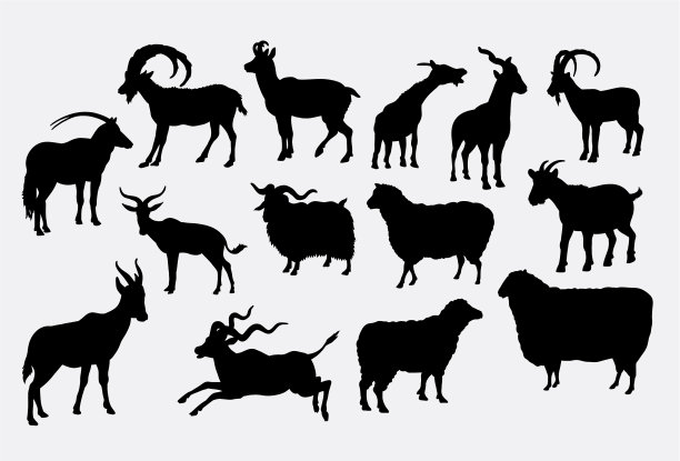 山羊和绵羊剪影图片下载