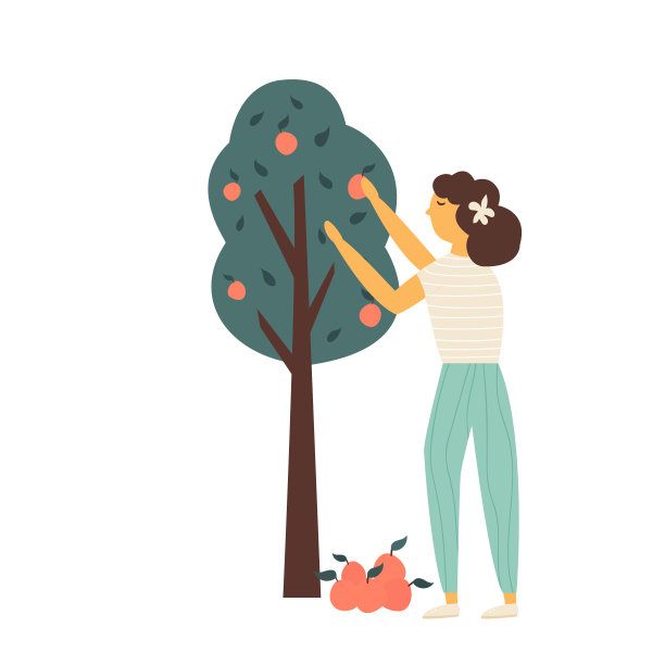 农家女孩正在从苹果树上采集果实图片下载