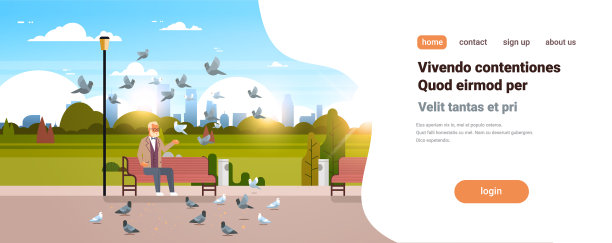 老人坐在木头上喂鸽子图片下载