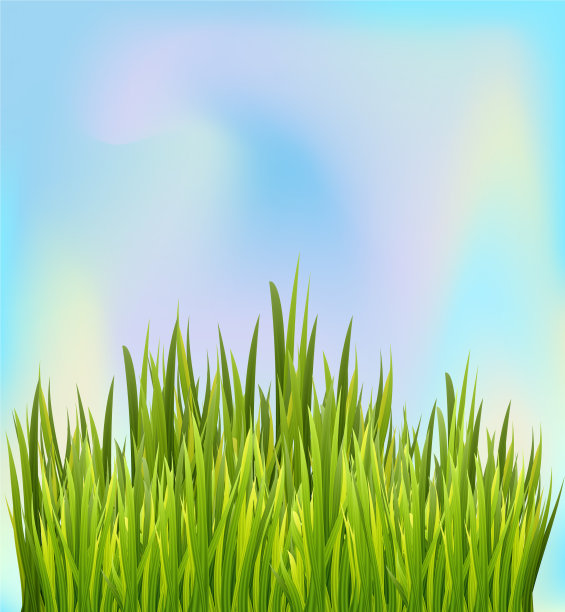 新鲜的绿草与蓝天为背景图片下载