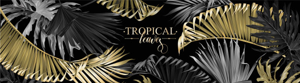 热带的金色和黑色叶子网横幅图片下载