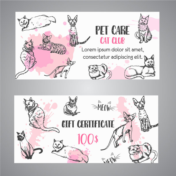 猫品种的礼品券跟着我的脚文字图片下载