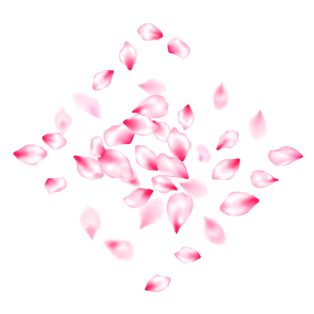 日本樱花的粉红色飞花图片下载