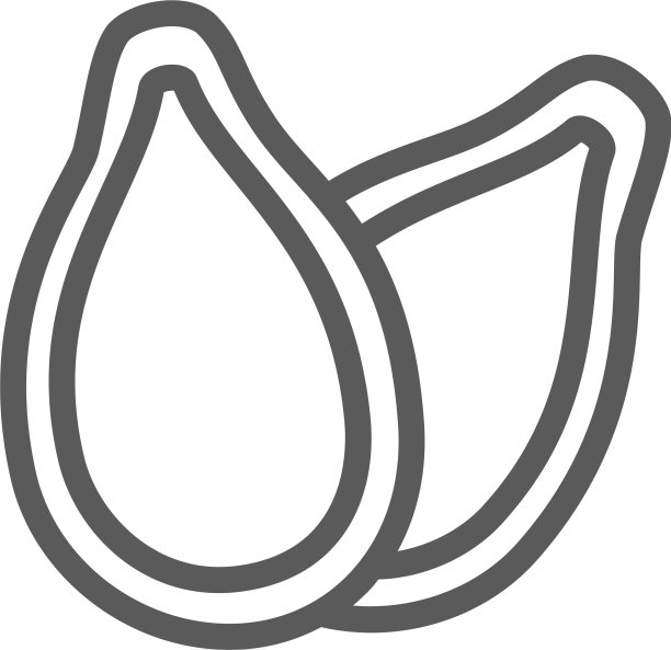南瓜籽线图标图片下载