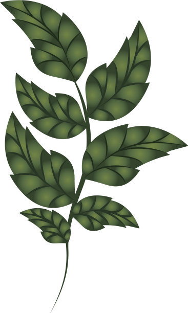 枝与叶孤立的图标图片下载