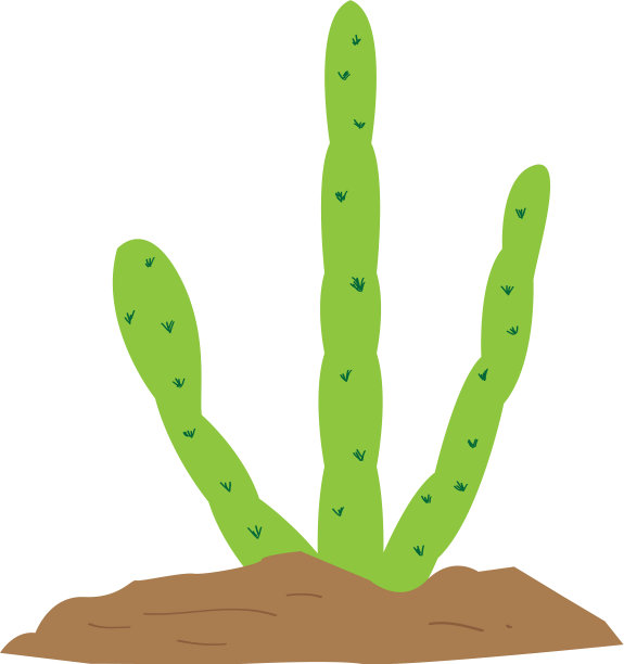 孤立的可爱的仙人掌图片下载