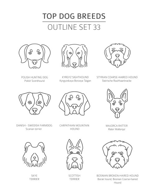 热门犬种猎犬宠物轮廓图片下载