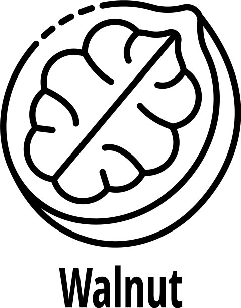 胡桃图标轮廓风格图片下载