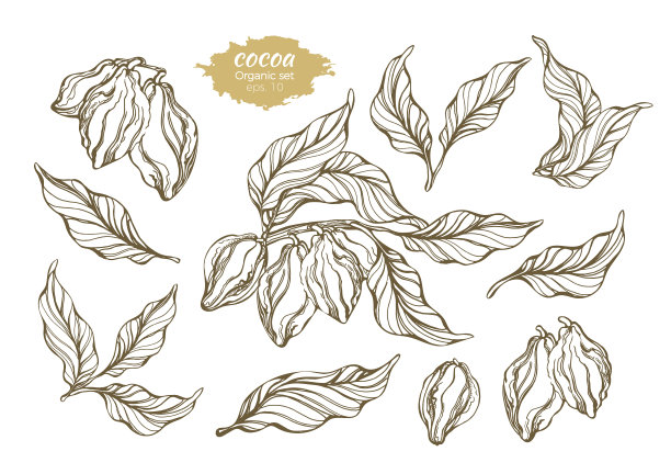 设置cococa草图图片下载