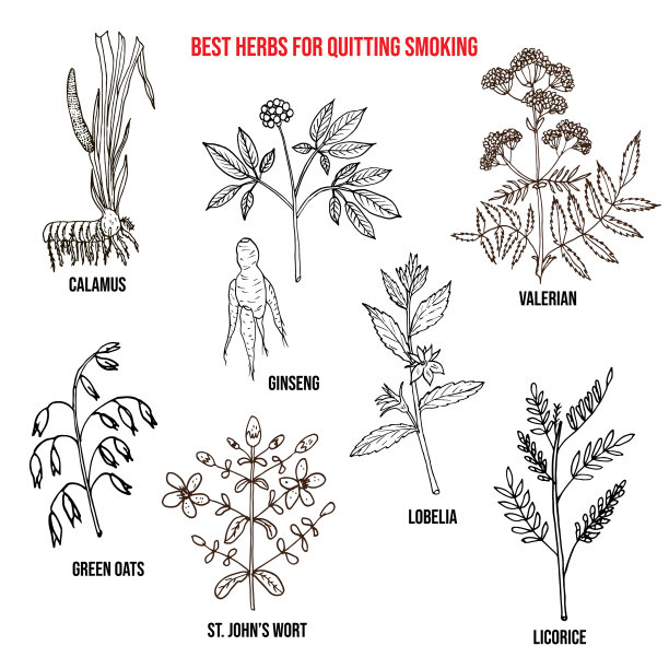 最好的戒烟药草集合图片下载